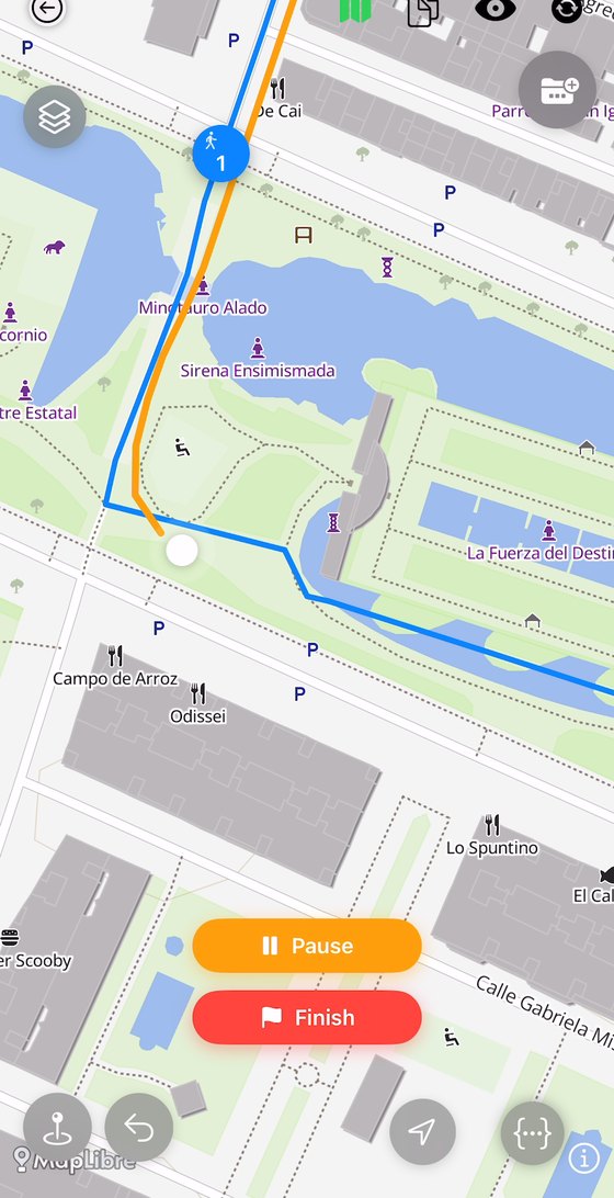 Live activity tracking with a recorded route